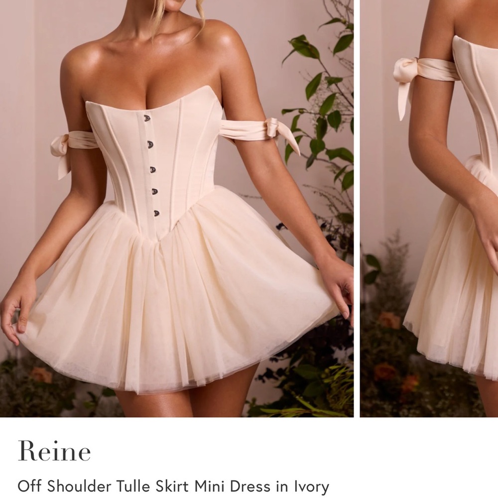 Ballerina / Tulle Corset Dress